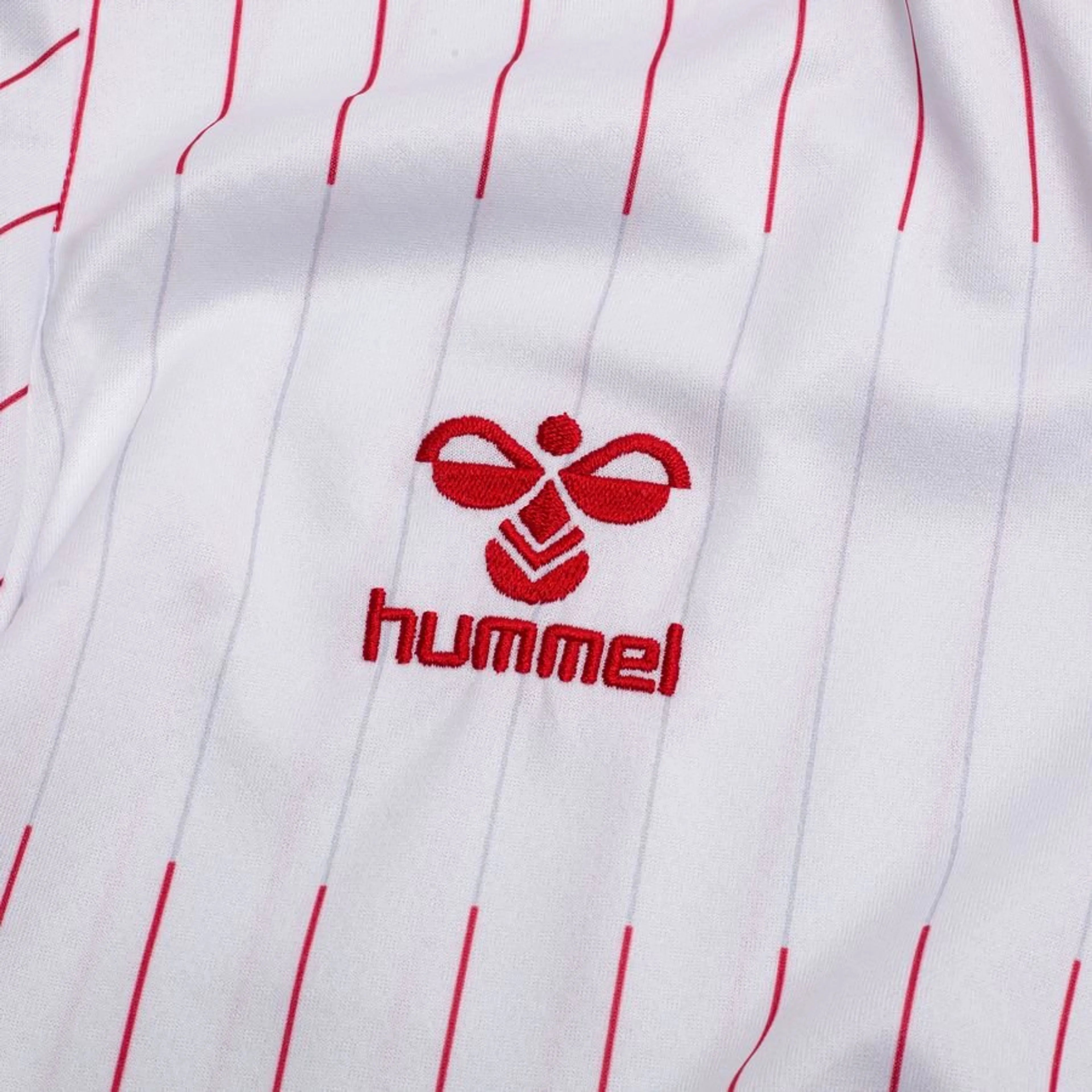 Maillot Danemark Extérieur Coupe du monde 2026