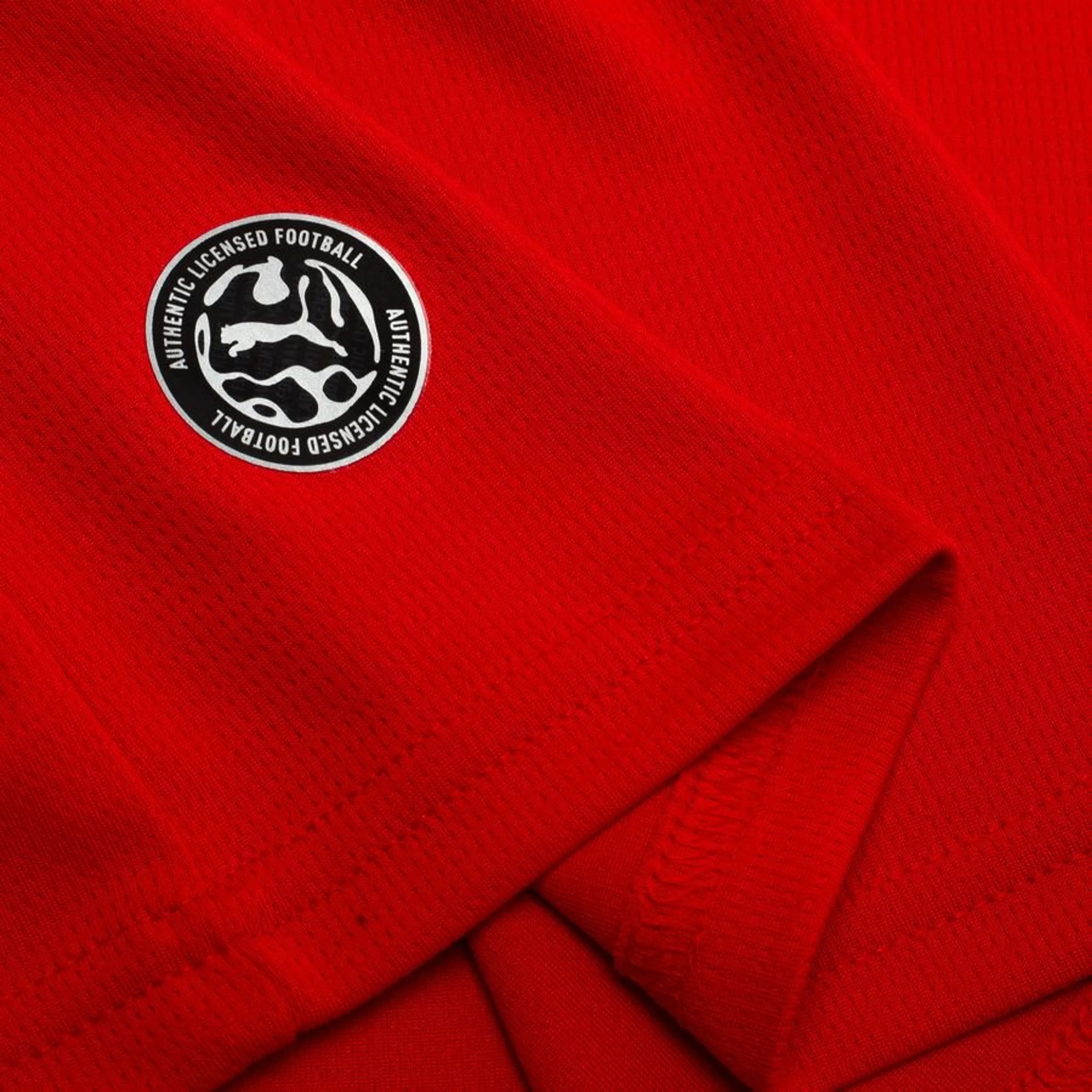 Maillot Autriche Domicile Coupe du Monde 2026