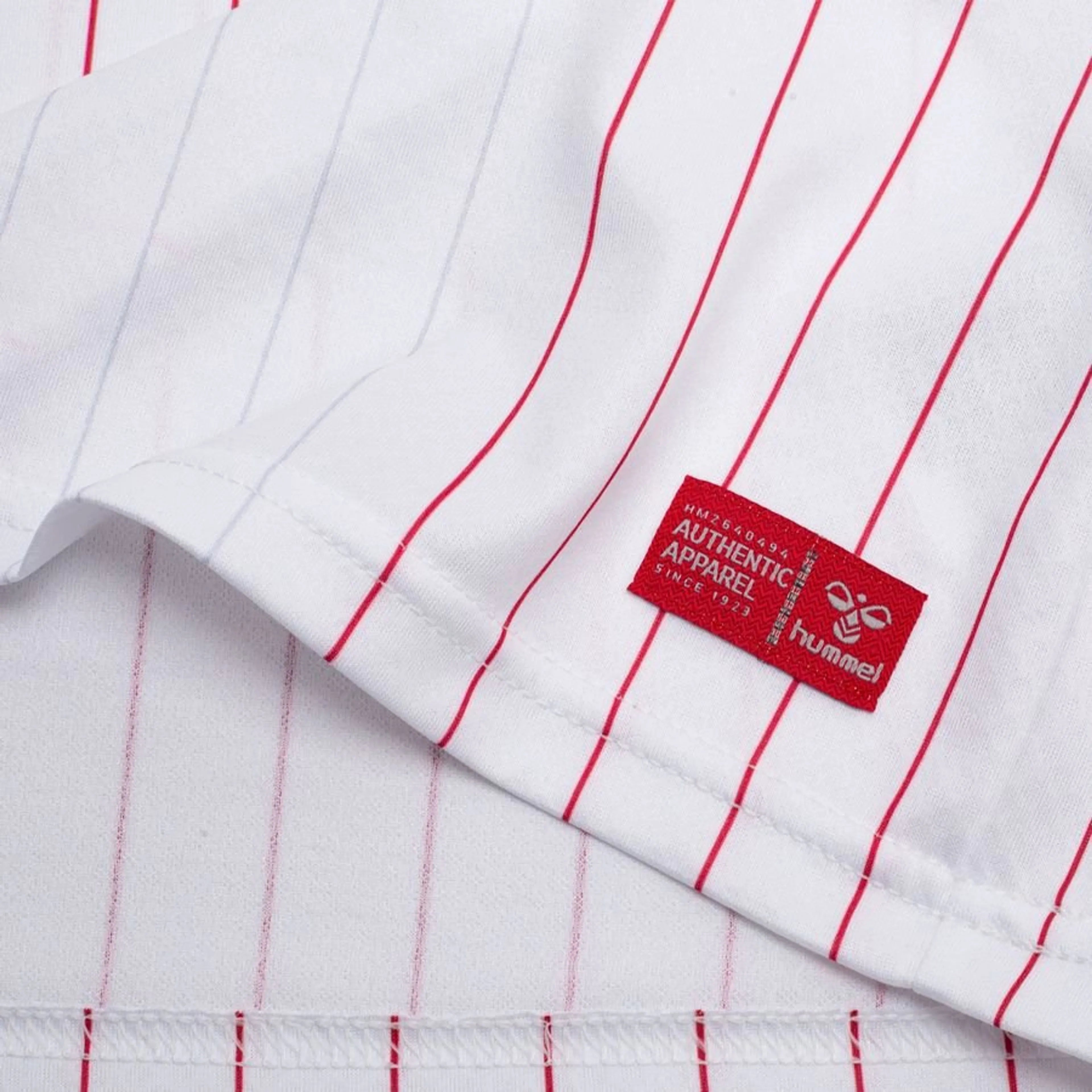 Maillot Danemark Extérieur Coupe du monde 2026