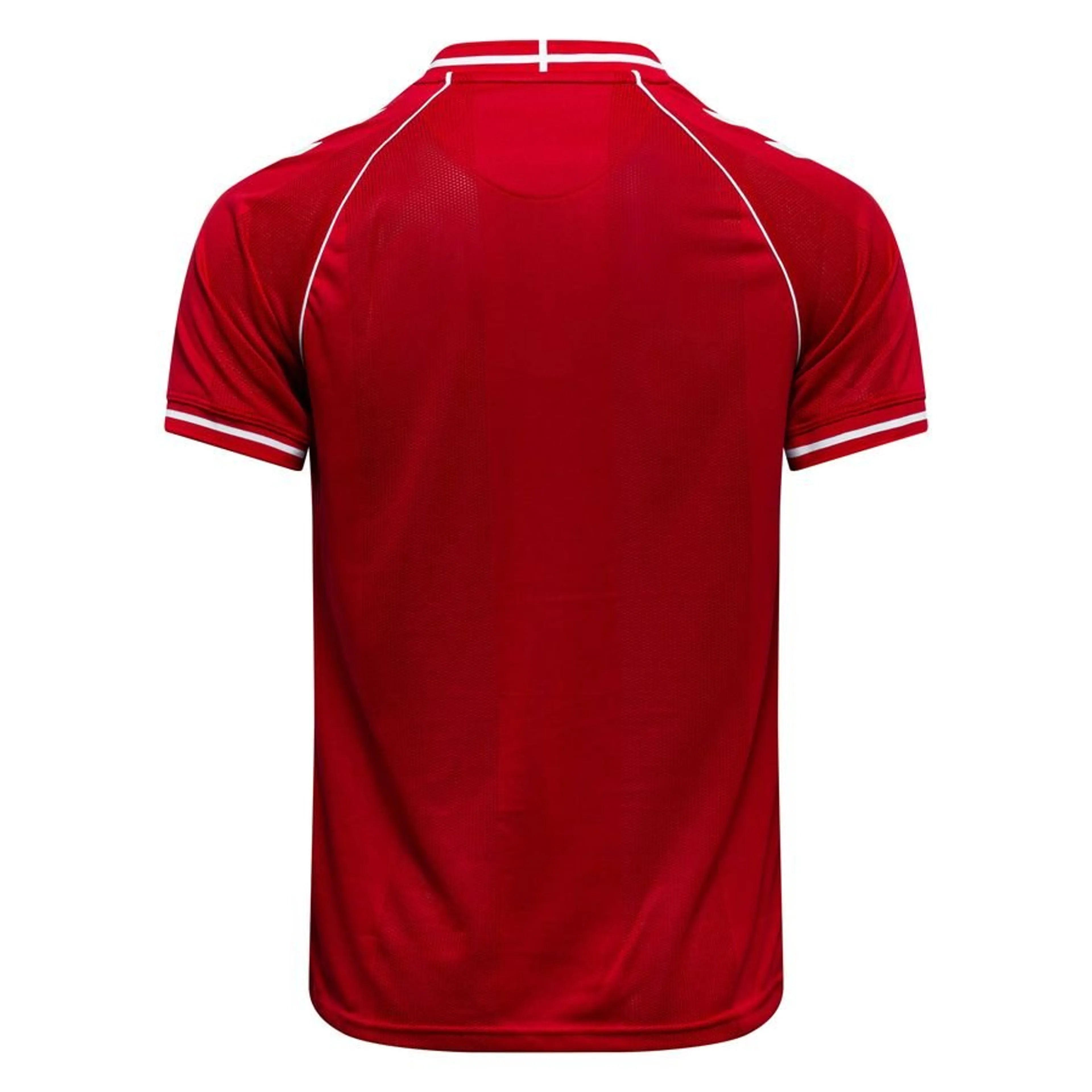 Maillot Danemark Domicile Coupe du monde 2026