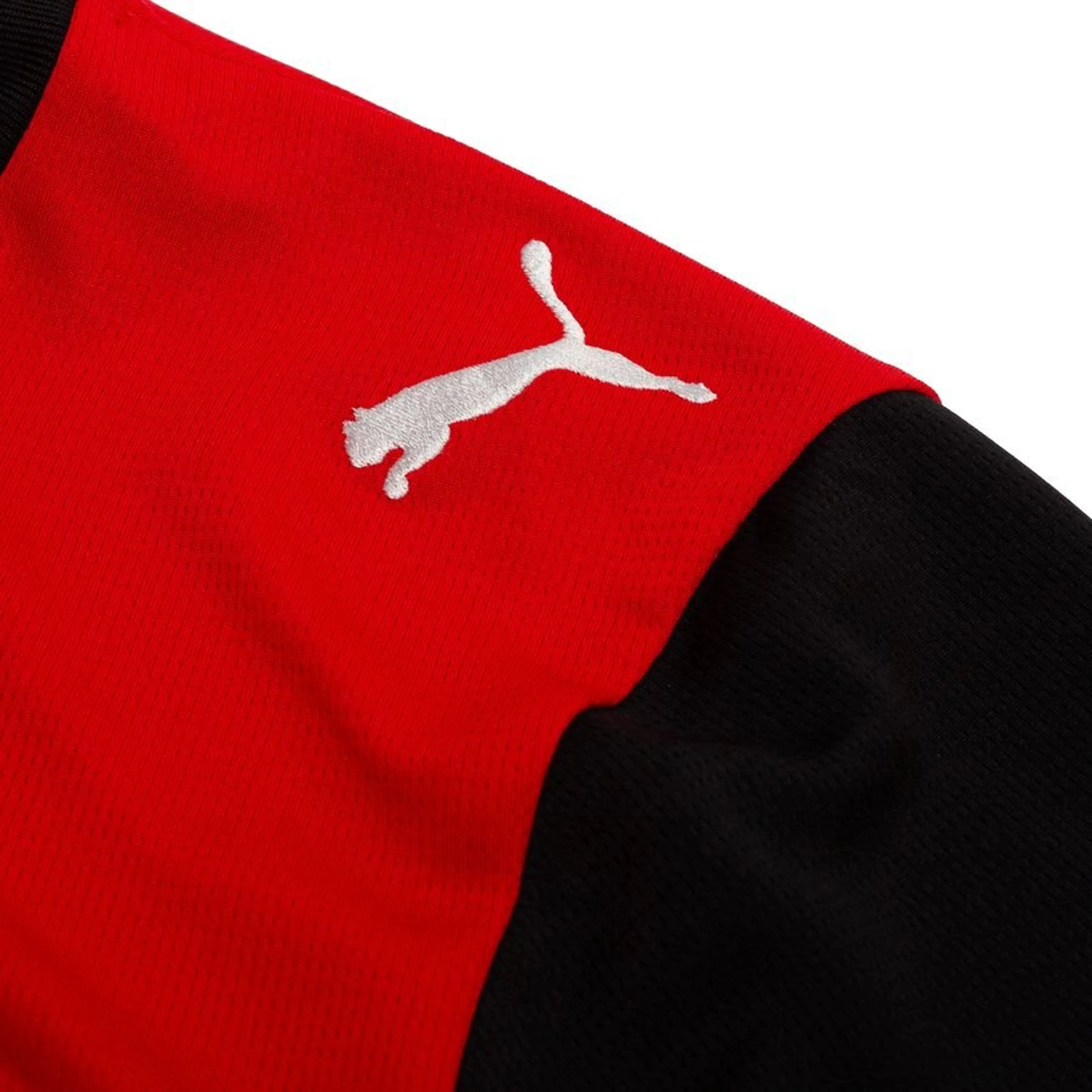 Maillot Autriche Domicile Coupe du Monde 2026