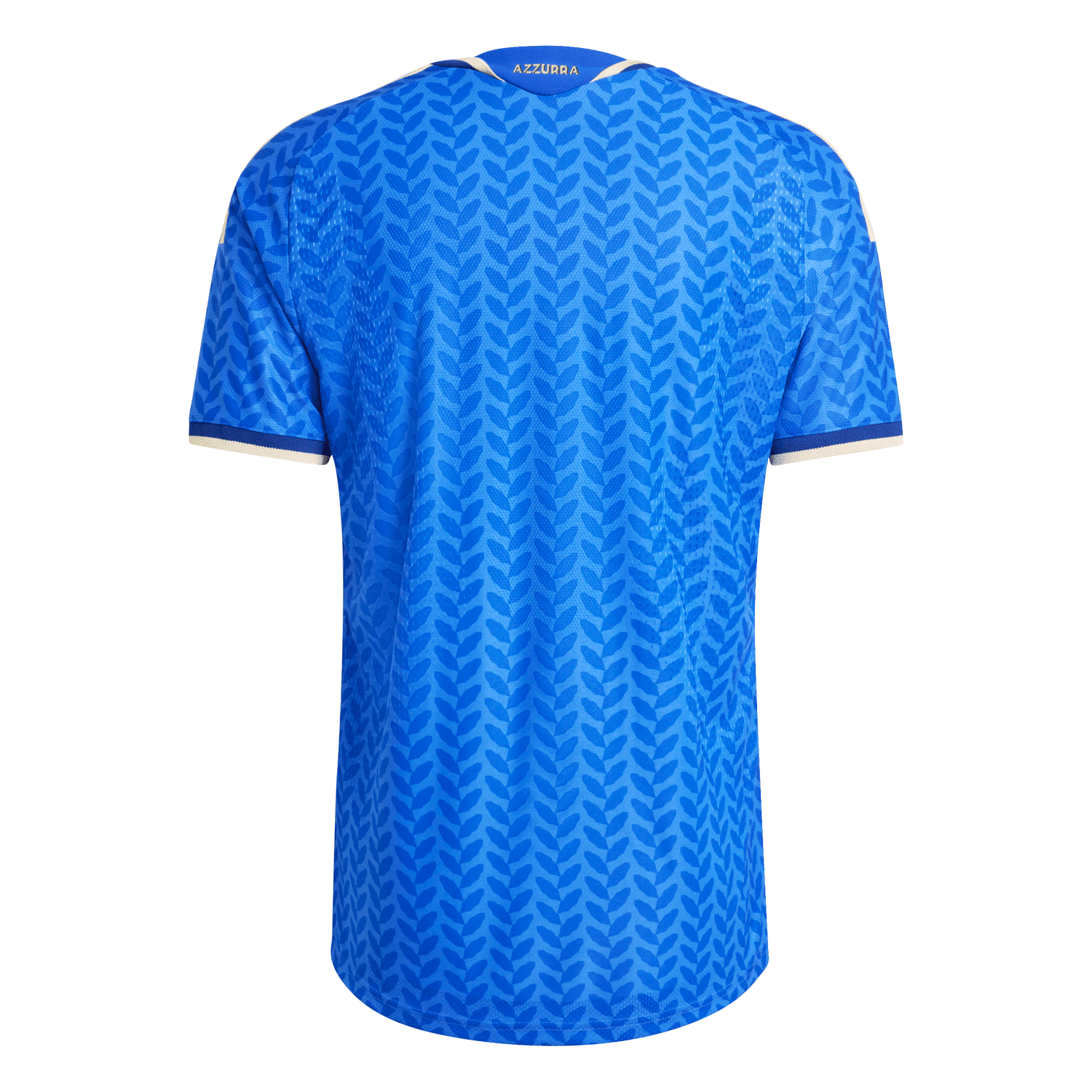 Maillot domicile Italie 2026