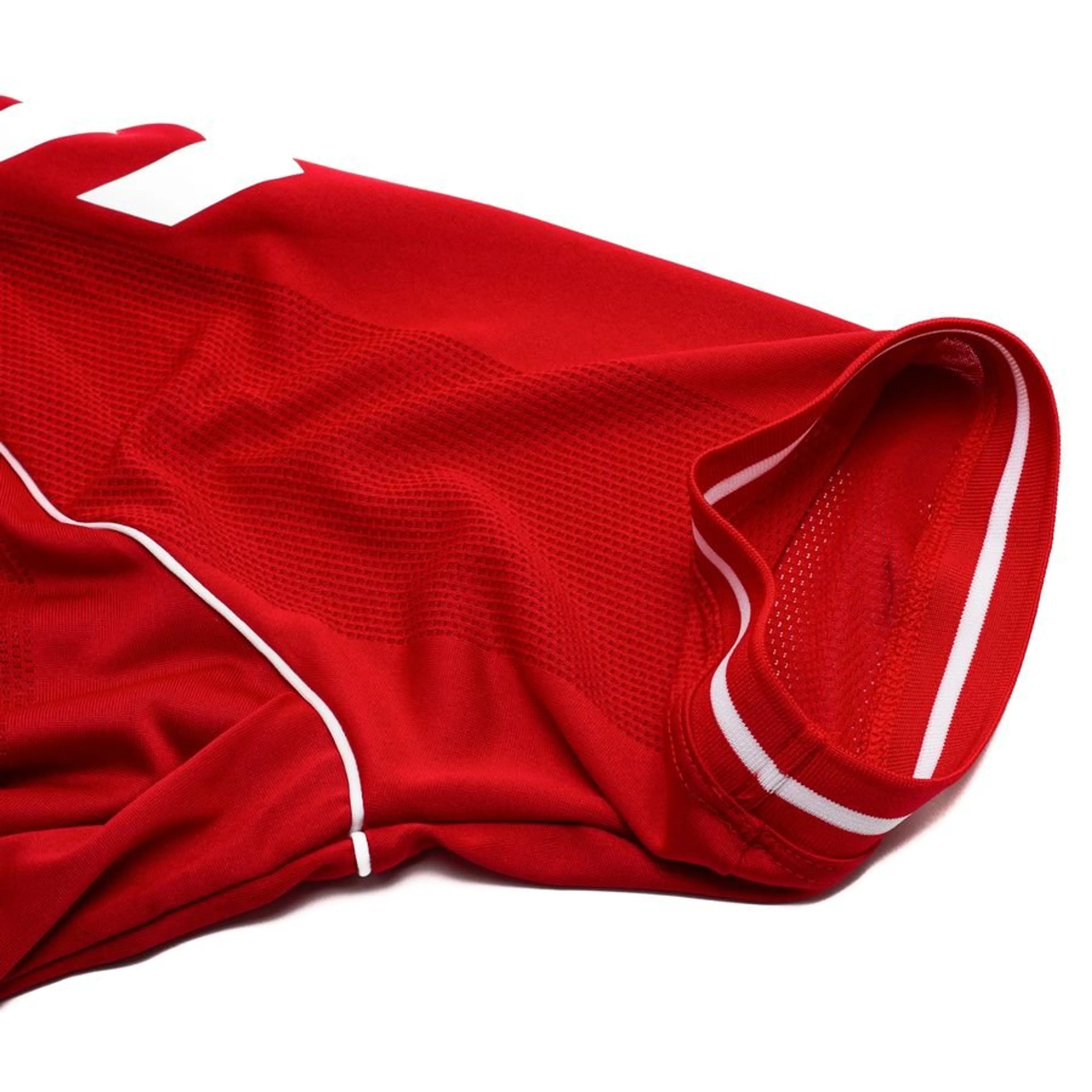 Maillot Danemark Domicile Coupe du monde 2026