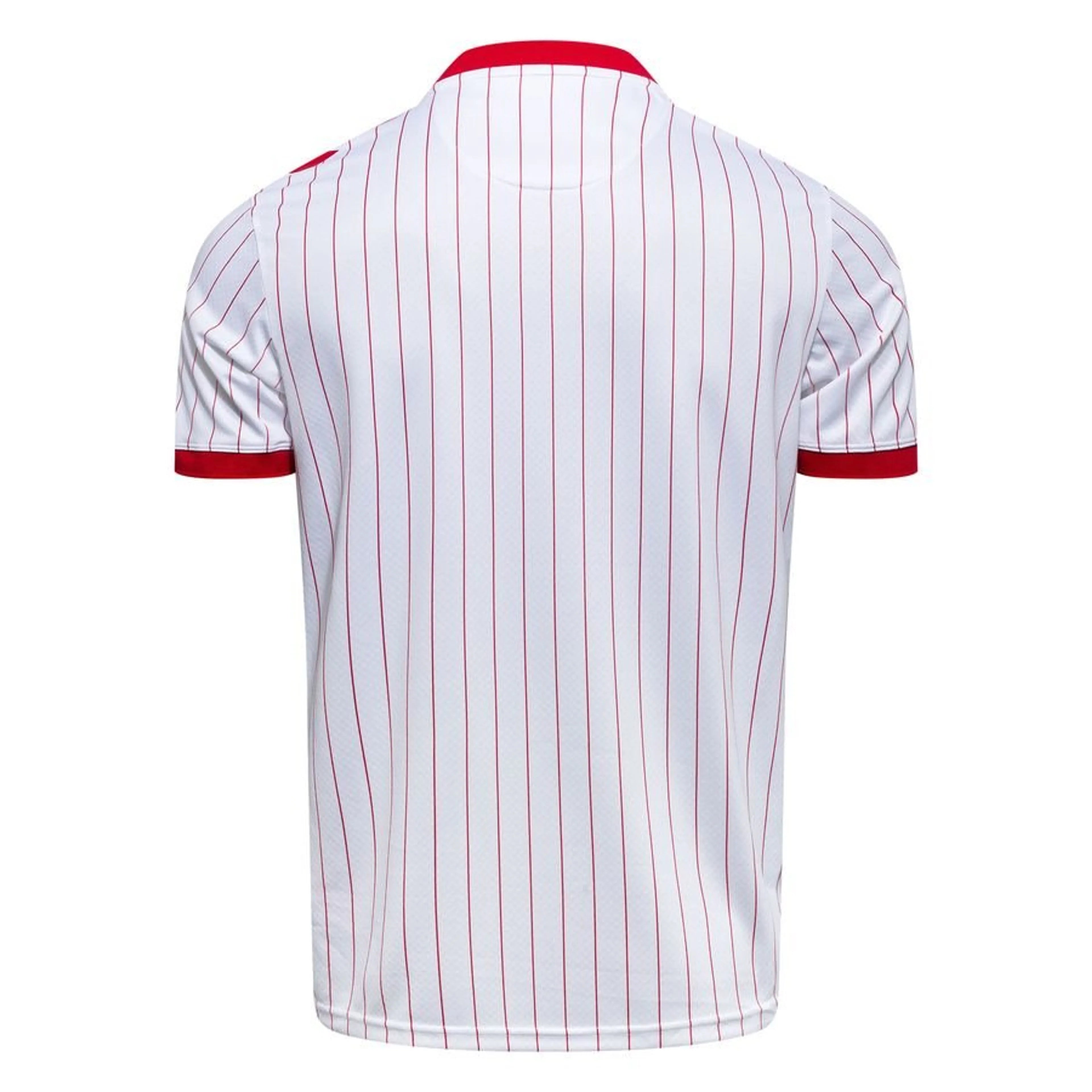 Maillot Danemark Extérieur Coupe du monde 2026