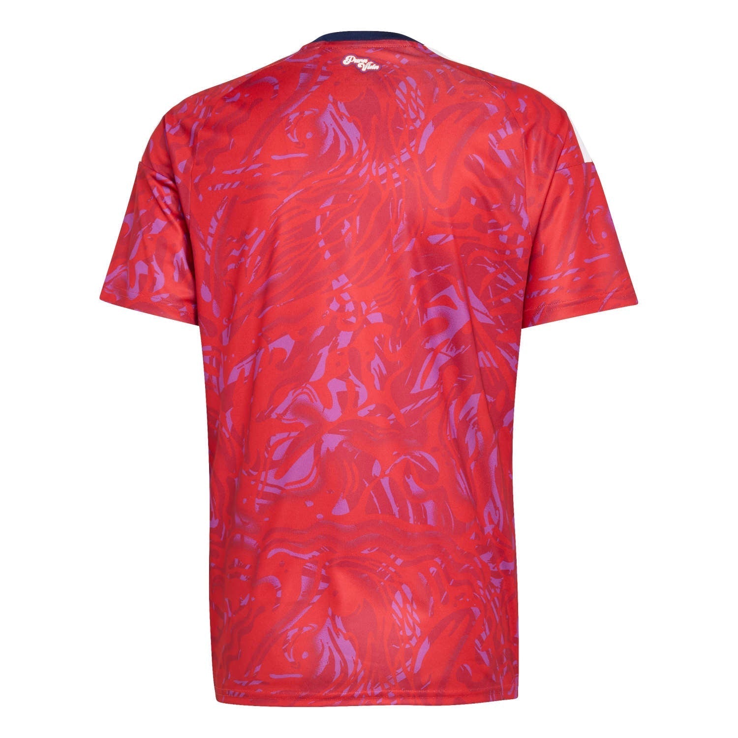Maillot domicile Costa Rica 2026