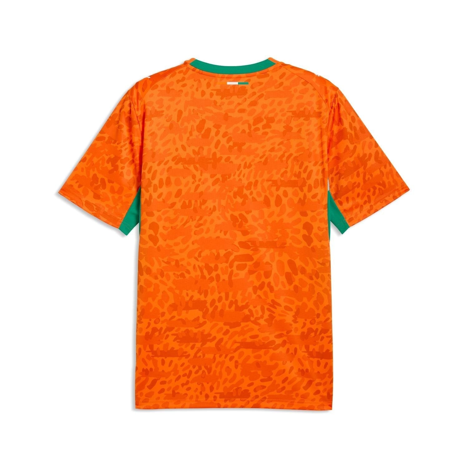 Maillot Côte d'Ivoire 2026 Domicile